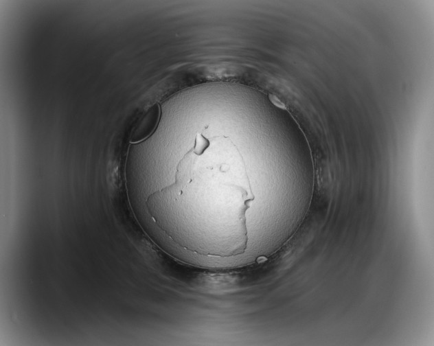 X0000088220327200705292119