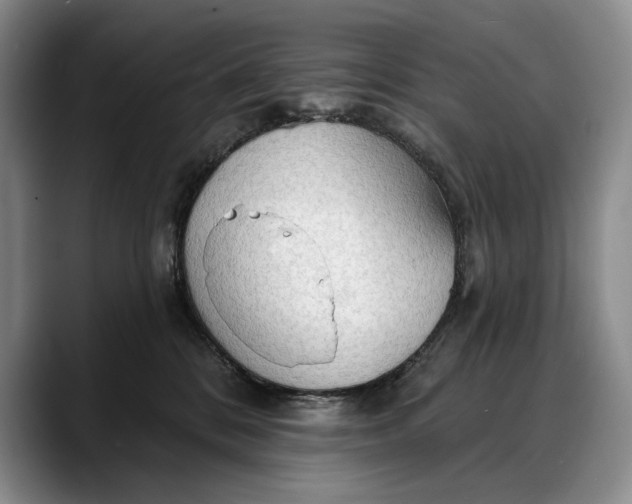 X0000088220328200705292119