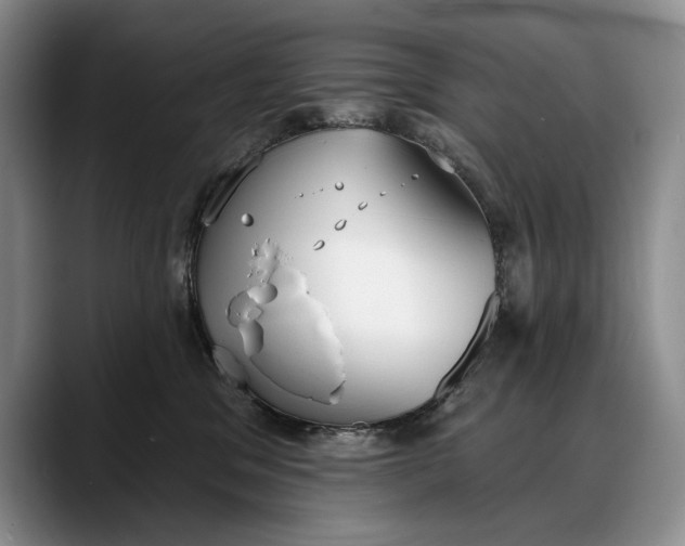 X0000088220329200705292119