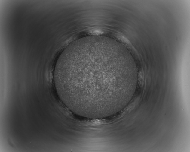 X0000088220330200705292119