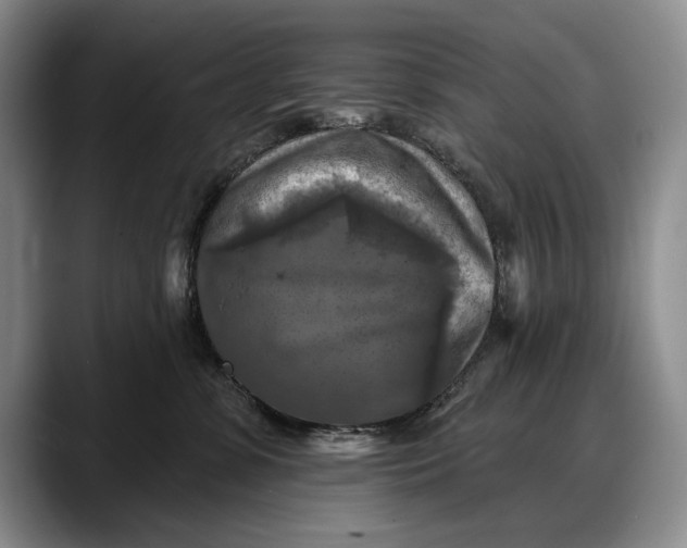 X0000088220331200705292119