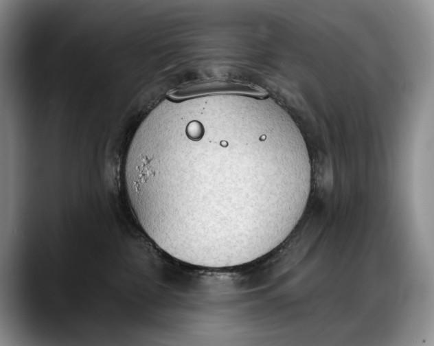 X0000088220332200705292119