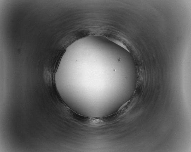 X0000088220333200705292119