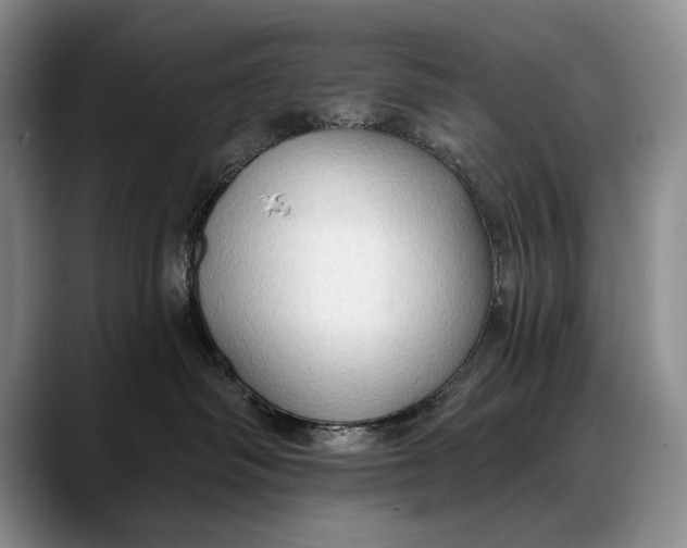 X0000088220334200705292119