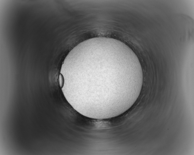 X0000088220336200705292119