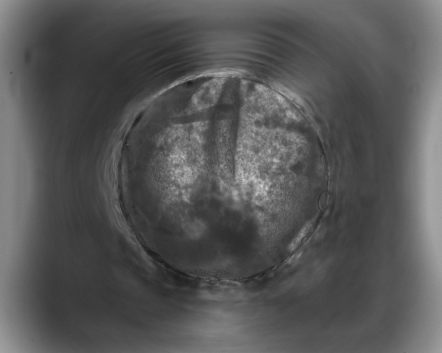 X0000088220337200705292118