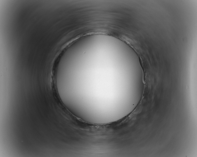 X0000088220338200705292118