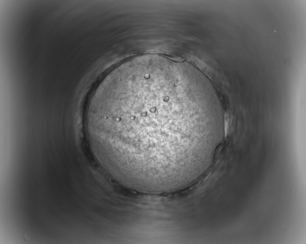 X0000088220339200705292118