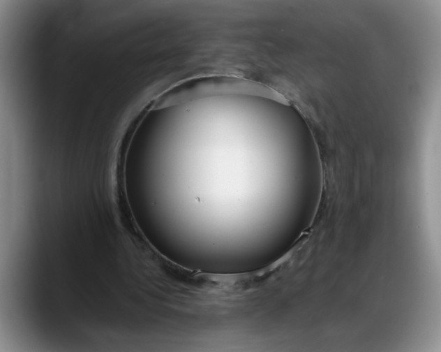 X0000088220340200705292118