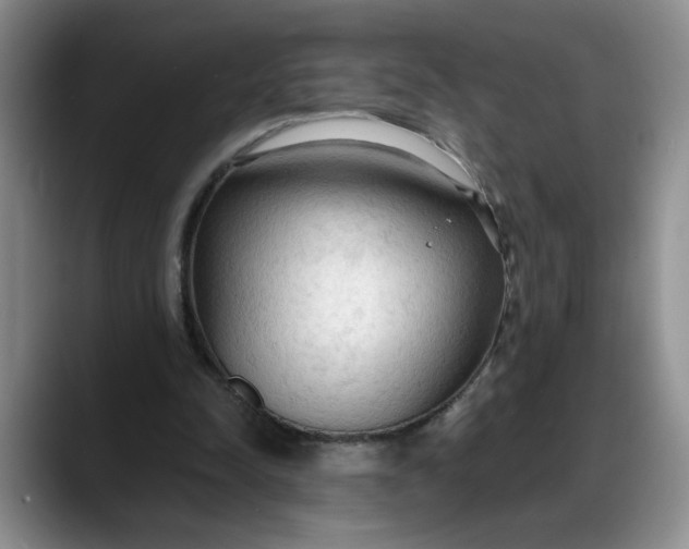 X0000088220342200705292118