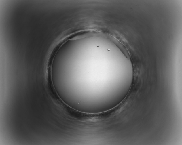 X0000088220344200705292118