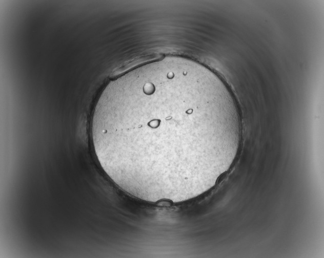 X0000088220345200705292118