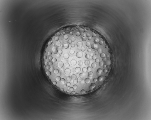 X0000088220346200705292118