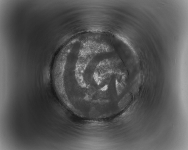 X0000088220347200705292118