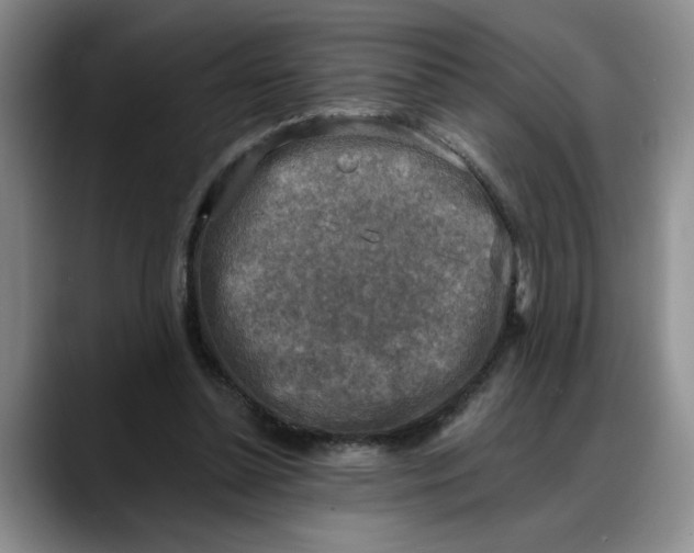 X0000088220348200705292118