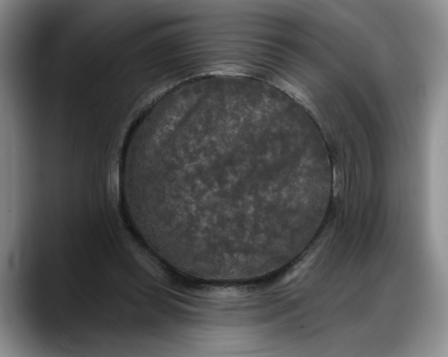 X0000088220349200705292118