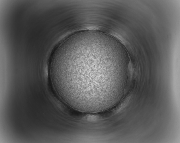 X0000088220350200705292118