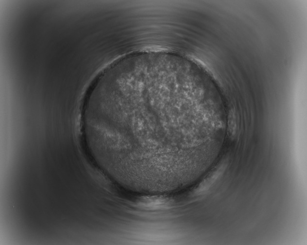 X0000088220351200705292118