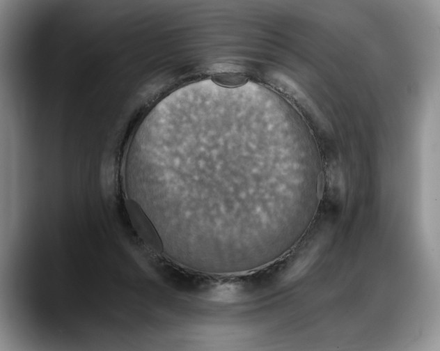 X0000088220352200705292118