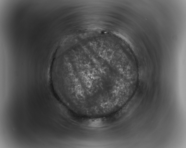 X0000088220353200705292118