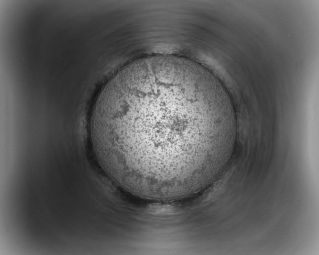 X0000088220354200705292118