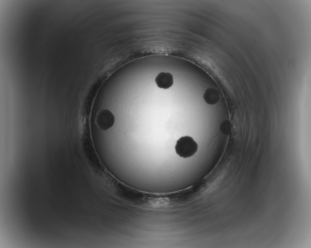 X0000088220355200705292118