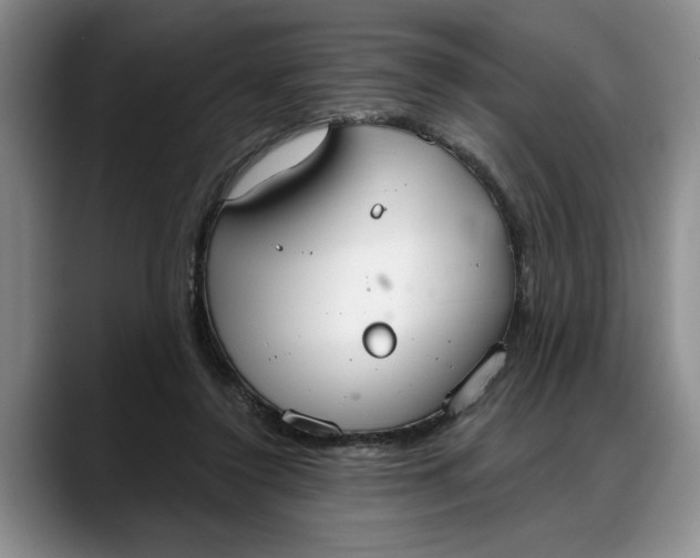 X0000088220356200705292118