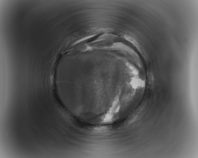 X0000088220357200705292118