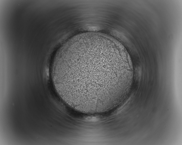 X0000088220358200705292118