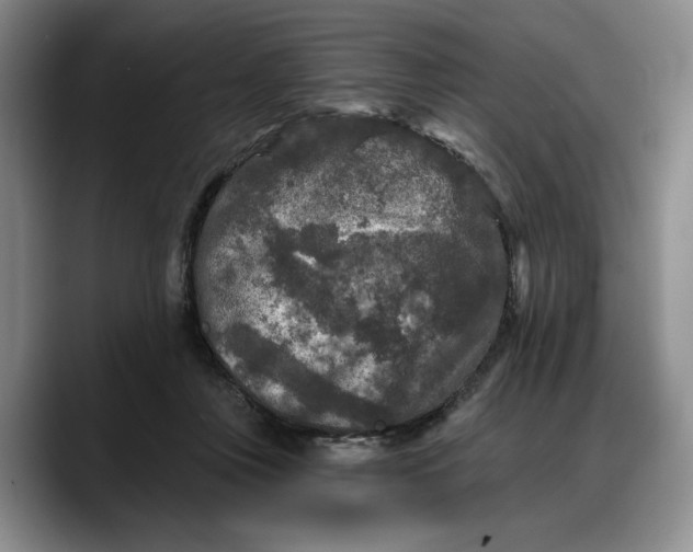 X0000088220359200705292118