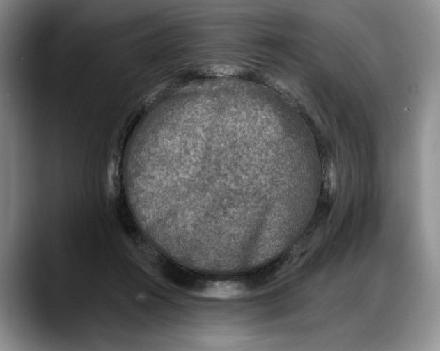 X0000088220360200705292118