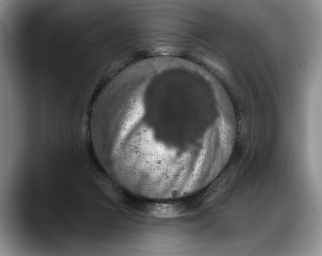 X0000088220361200705292118