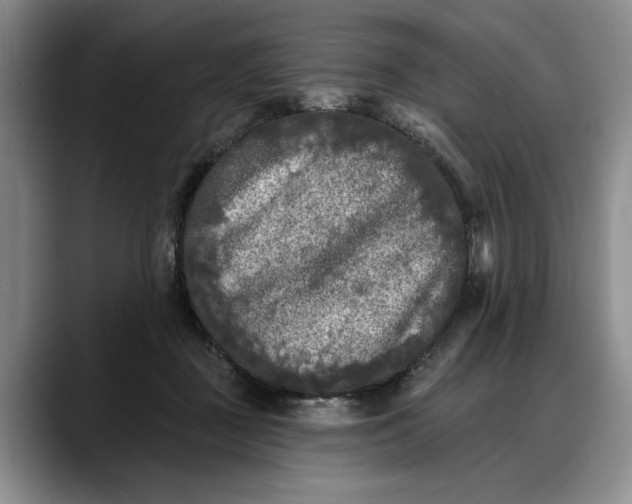 X0000088220363200705292118