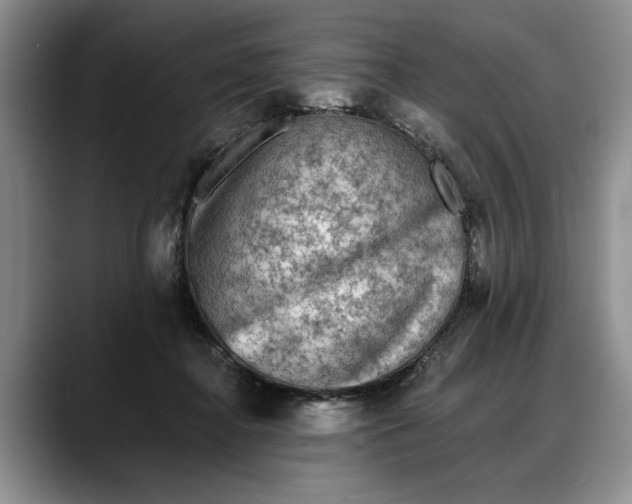 X0000088220364200705292118