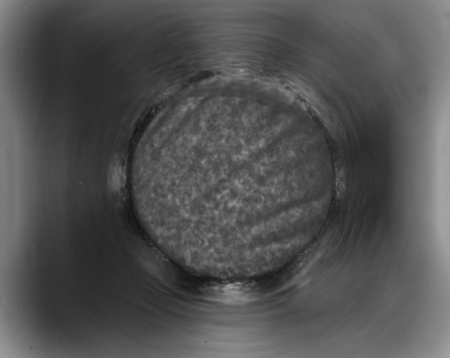 X0000088220365200705292118