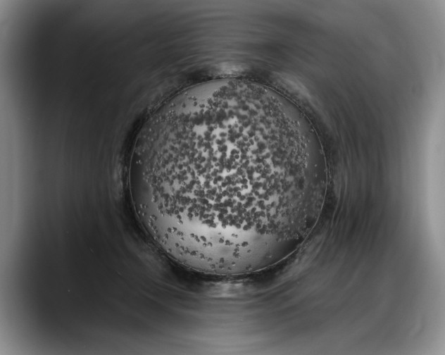 X0000088220366200705292118