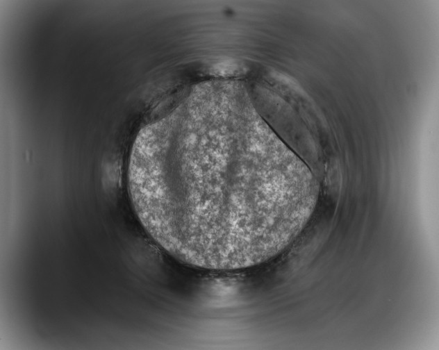 X0000088220368200705292118