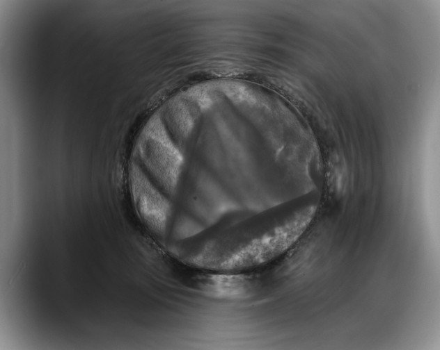 X0000088220371200705292118