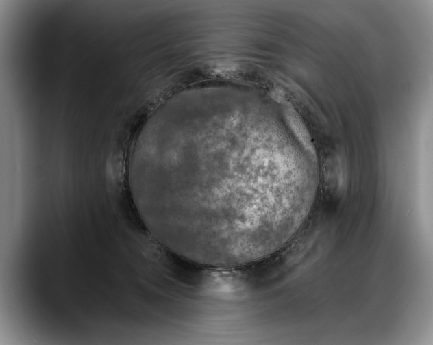 X0000088220372200705292118