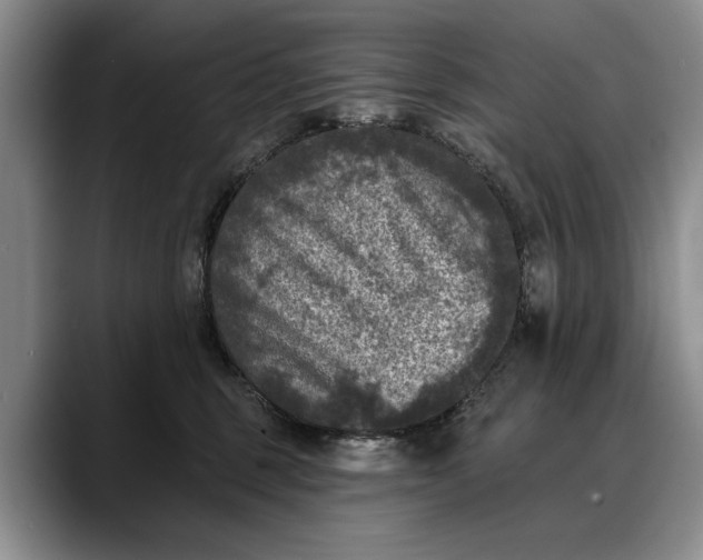 X0000088220375200705292119