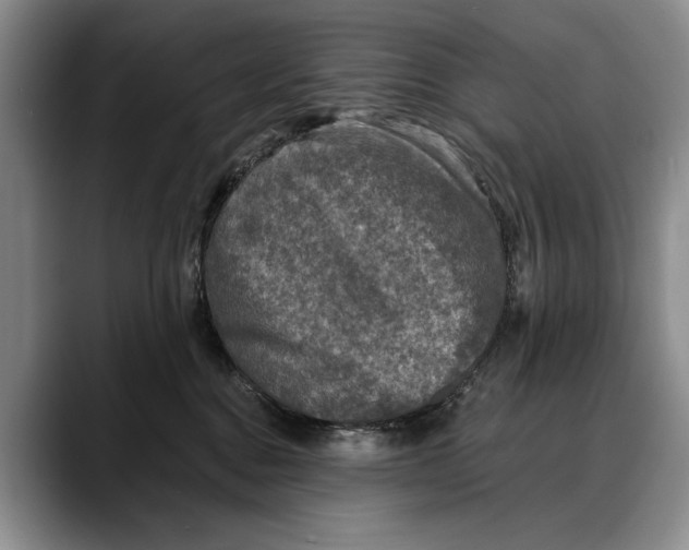 X0000088220376200705292119