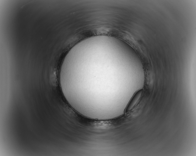 X0000088220378200705292119