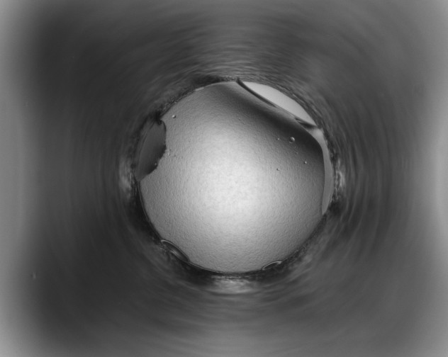 X0000088220380200705292119