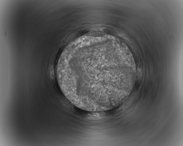 X0000088220381200705292119