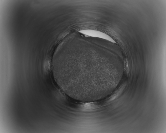 X0000088220382200705292119