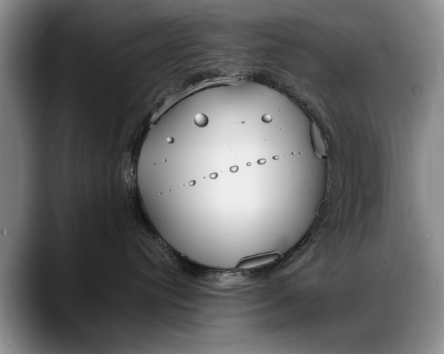 X0000088220384200705292119