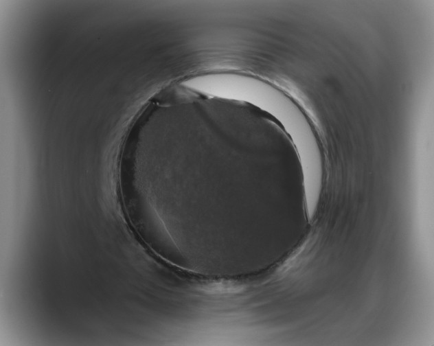 X0000088220385200705292118