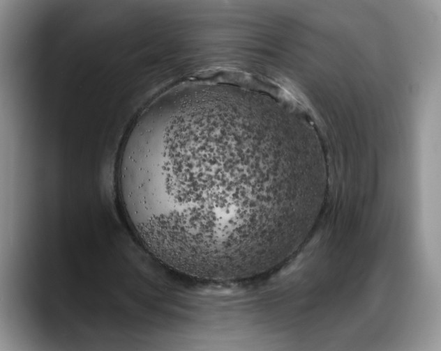 X0000088220386200705292118