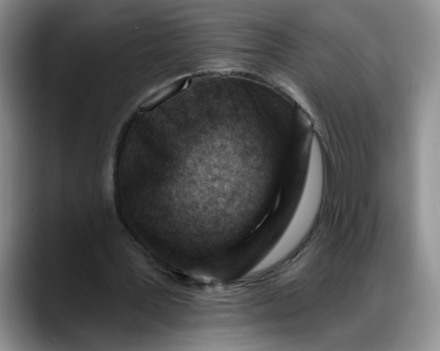 X0000088220387200705292118