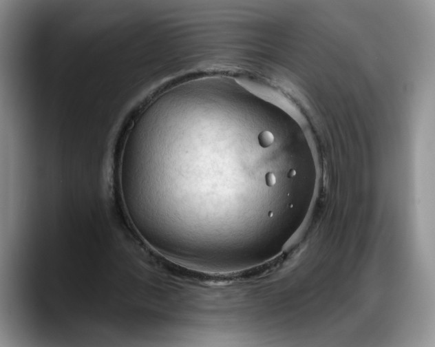 X0000088220388200705292118